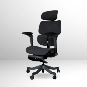 AXIS Ergonomic Chair